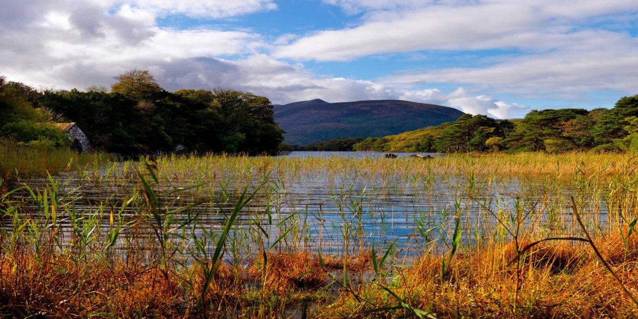 low level view of killarney lake